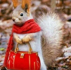 Meet your Posher, Kachet